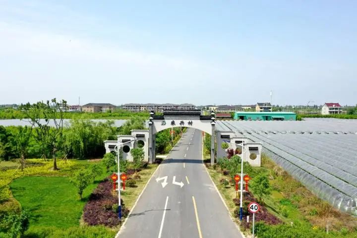練市鎮(zhèn)最新動態(tài)速遞，全新消息一覽無遺！