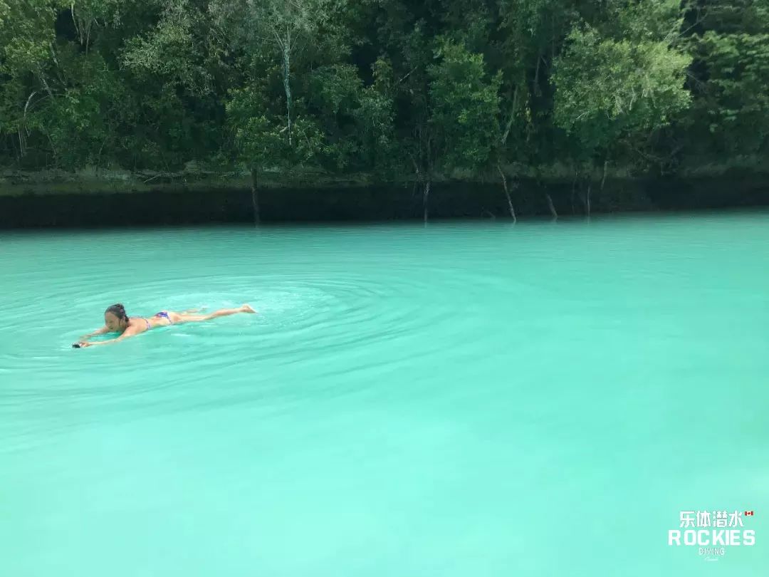 海陽劃歸青島的最新動(dòng)態(tài)，自然美景的探索之旅