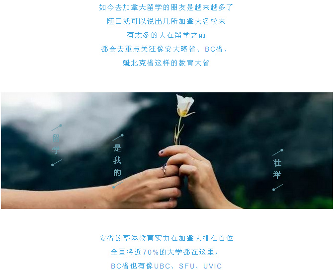 殷保華新浪博客，最新動(dòng)態(tài)與學(xué)習(xí)之旅中的自信與成就之源