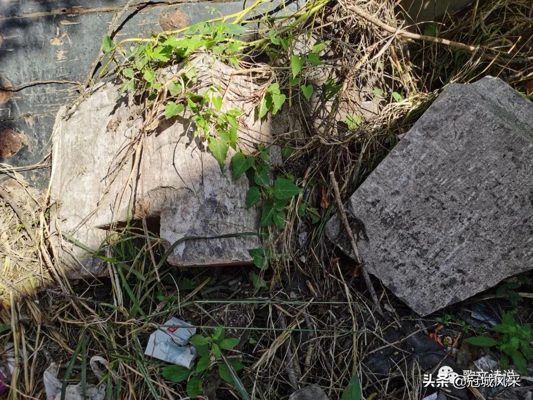 大名二手房最新信息探索，小巷深處的隱藏房源一覽