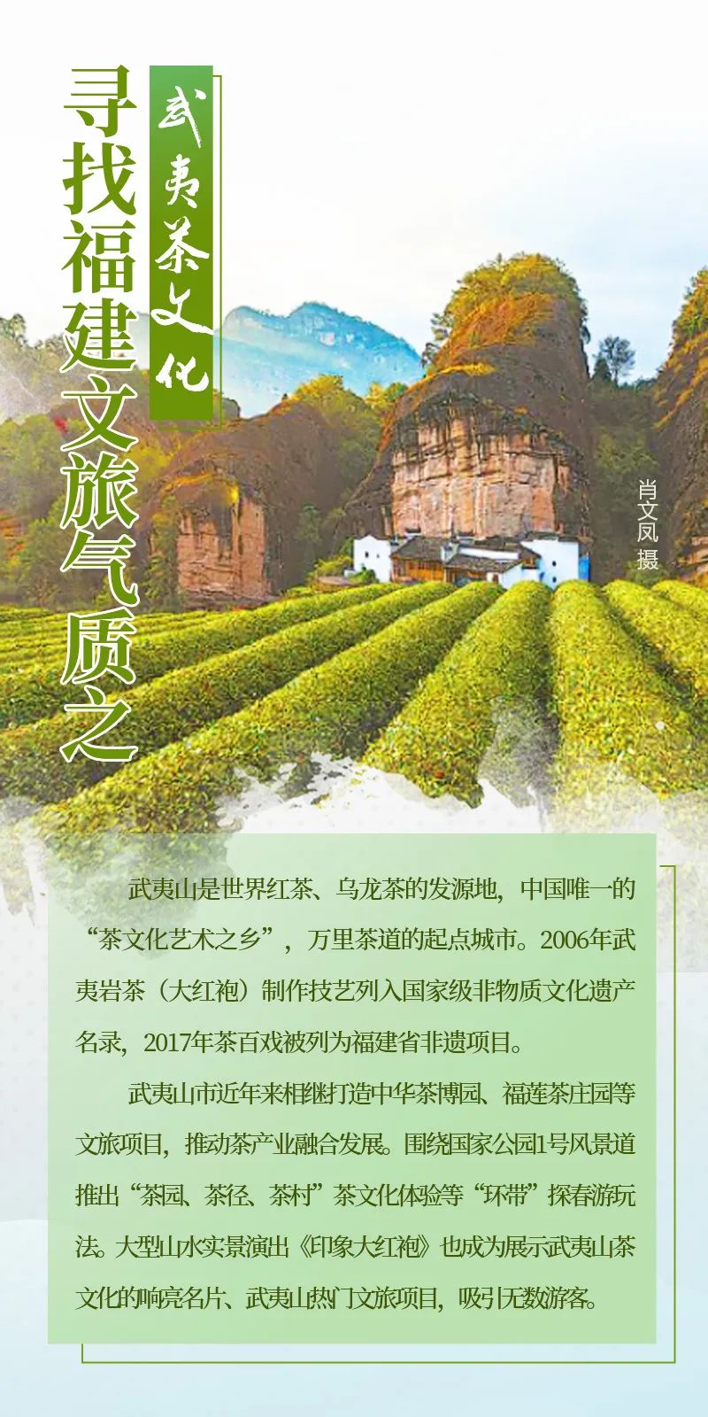 青果直播，自然美景探索之旅的盛宴