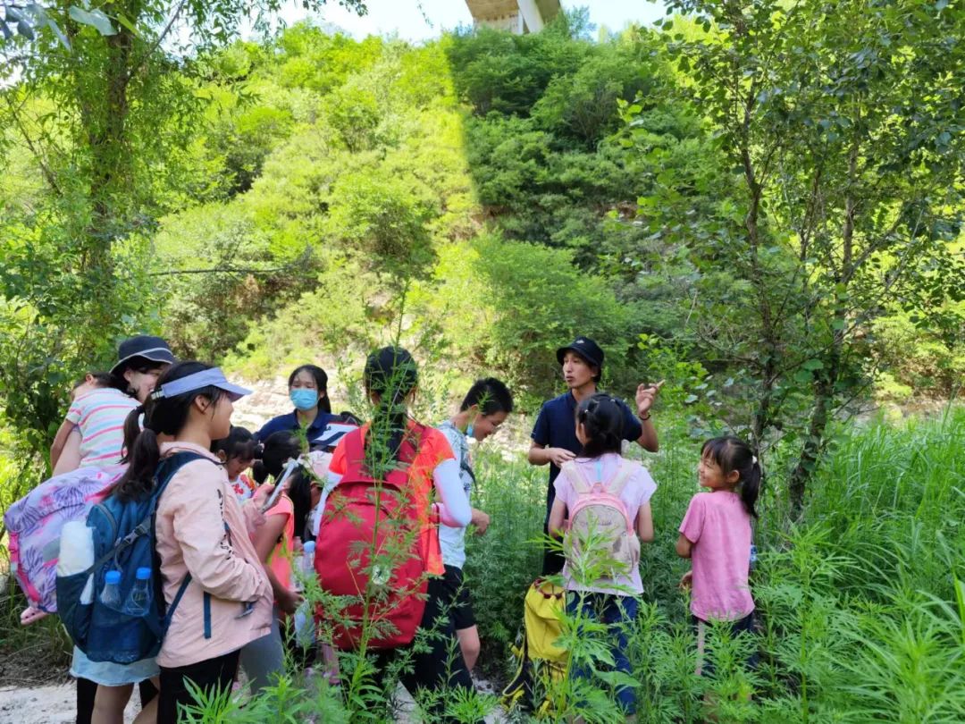 學(xué)生直播探索自然美景，尋找內(nèi)心平靜之旅