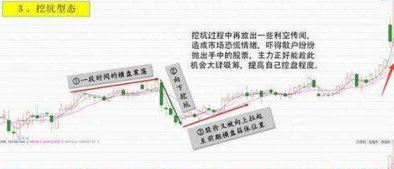 精準跑狗圖7777788888深度解析，專業(yè)指導(dǎo)操行策略_VUV68.265共享版