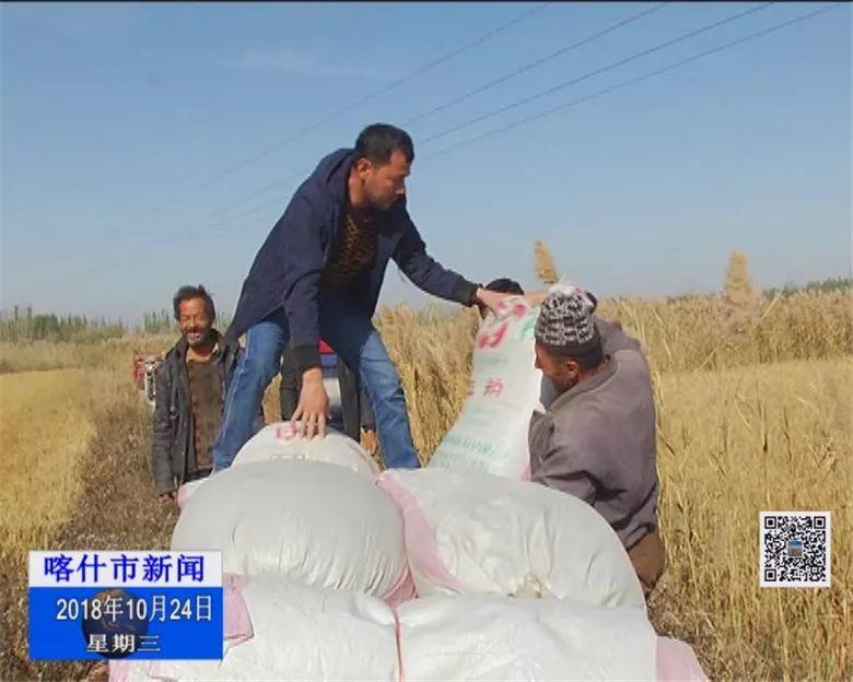 HZE68.137專業(yè)版系統(tǒng)：精準(zhǔn)傳真方案設(shè)計(jì)分析112號(hào)版本