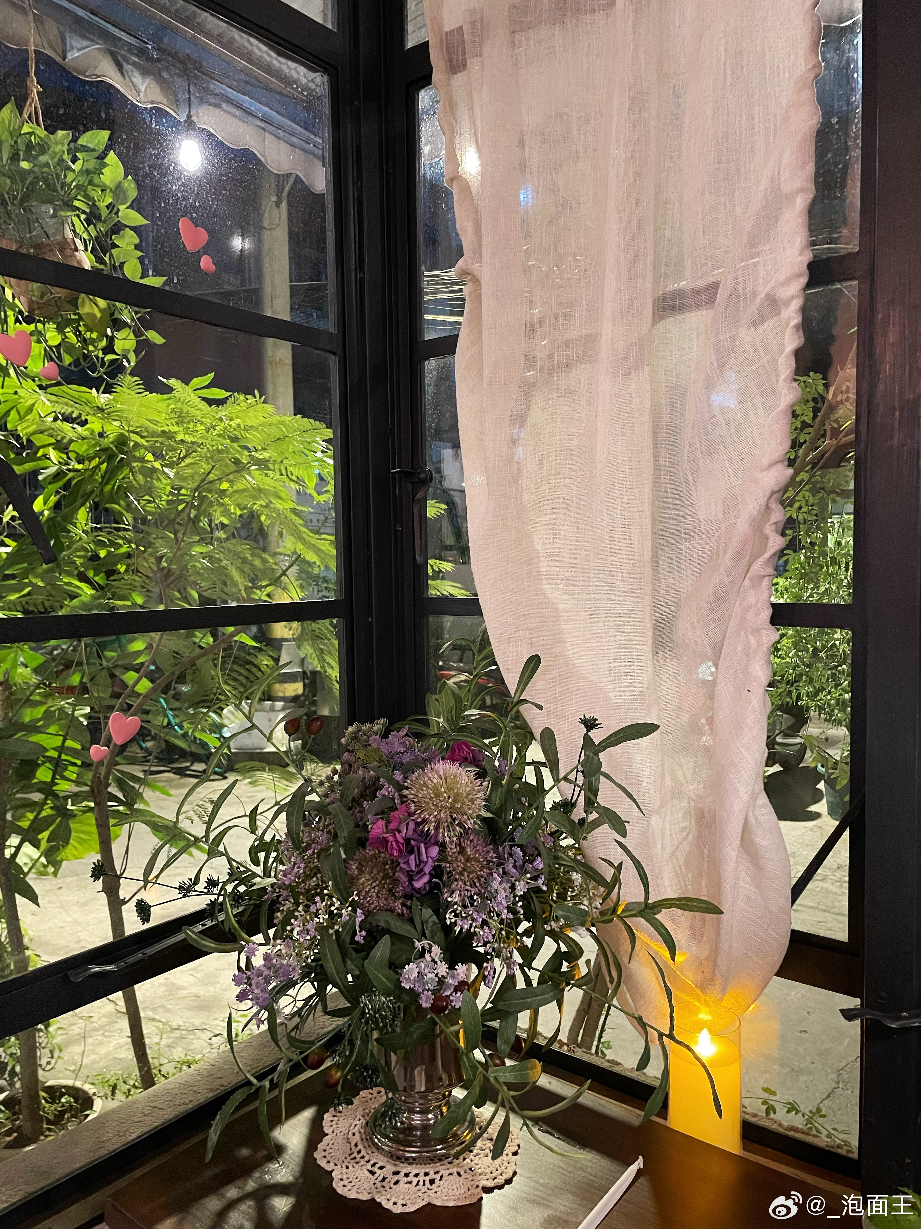 花小建直播日常，友誼花園與家的溫馨時(shí)光