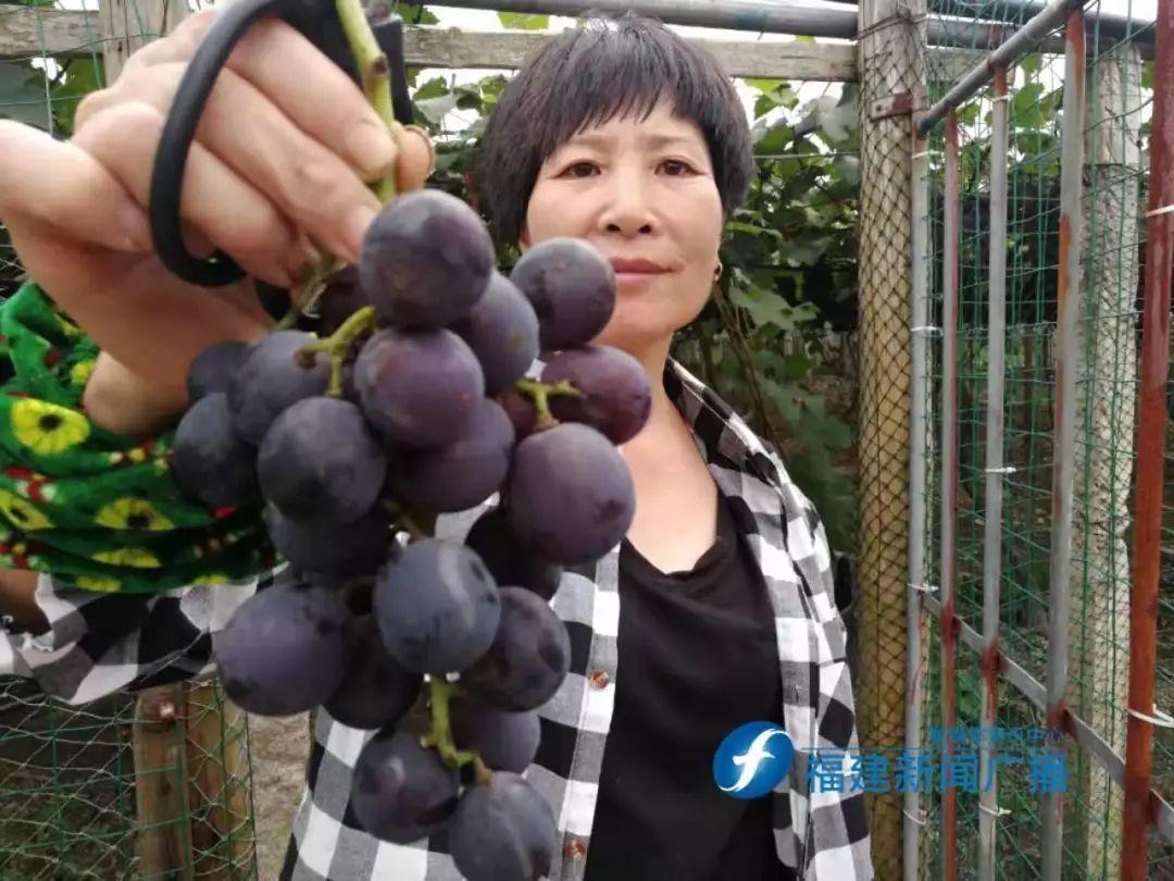 福安直播間，現(xiàn)象、爭議與我的觀察分析
