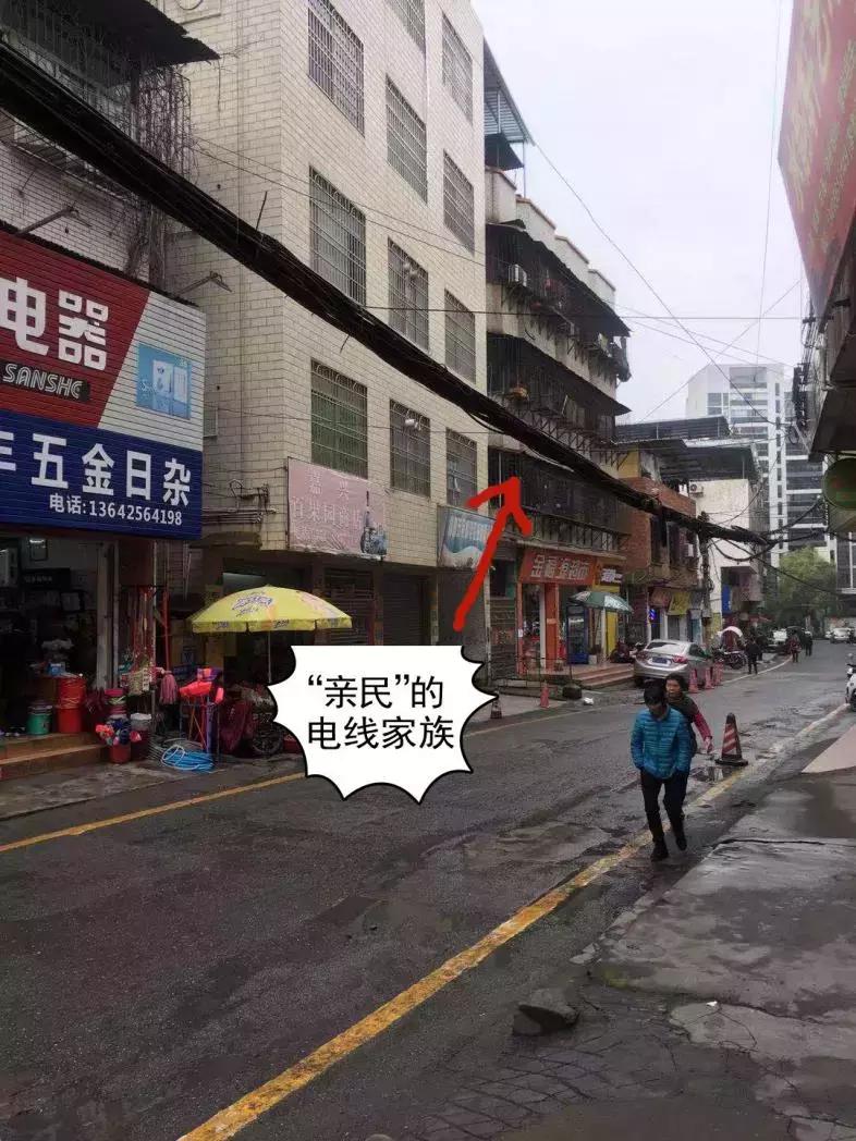 探秘小巷深處的神秘蜘蛛陣，最新蜘蛛陣攻略與解析