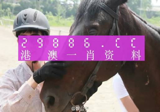 澳門一肖一碼必中一肖同舟同行，詳細(xì)解析_MPS4.41.41榮耀版
