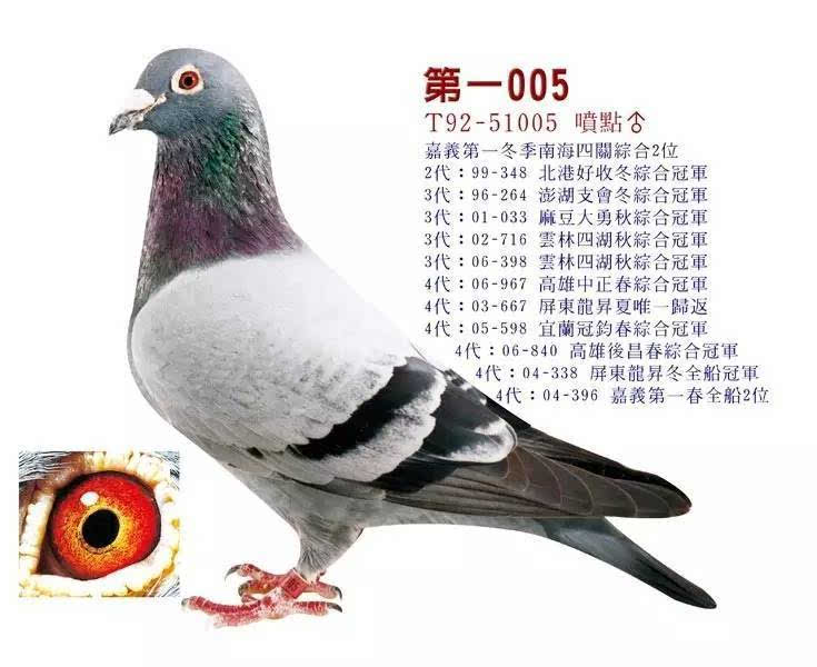 新澳天天開獎資料大全600tK,策略規(guī)劃_QBR89.735移動版