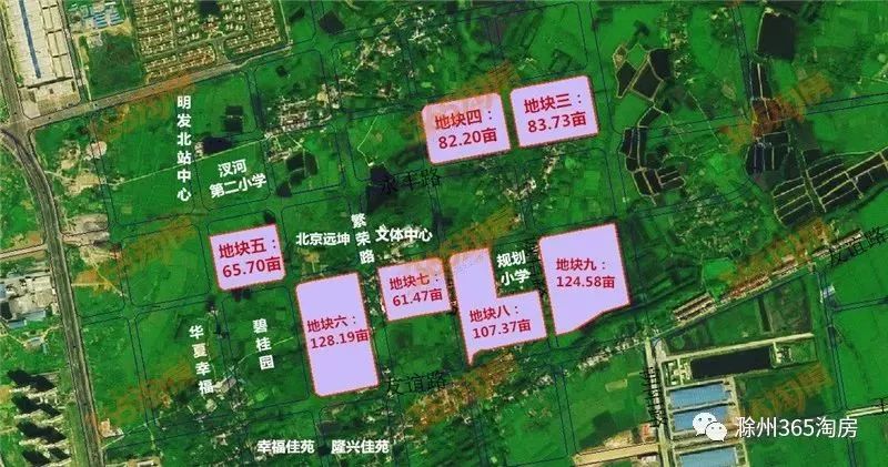 汊河2024最新消息,汊河邊的歡樂時光——2024年的溫馨故事