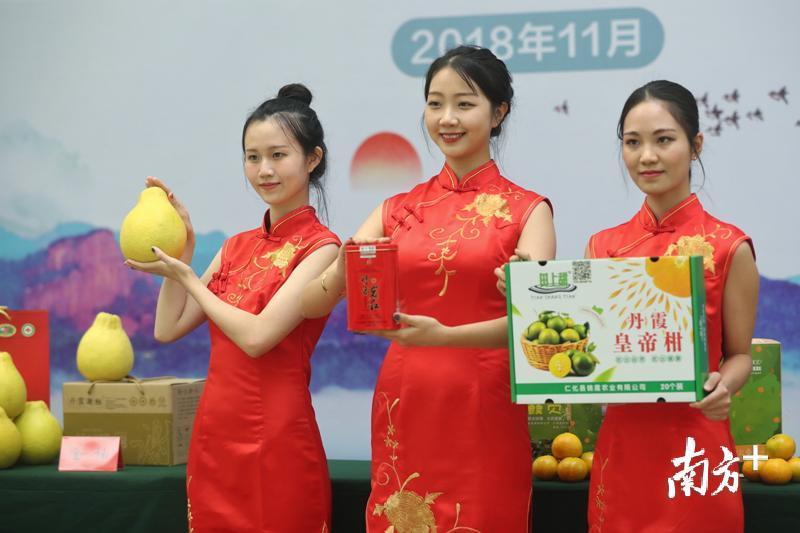 韶關仁化高科技引領未來，科技魅力改變生活最新消息