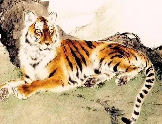 白老虎免費資料大全資料,高速響應(yīng)計劃執(zhí)行_BBF93.442云端共享版