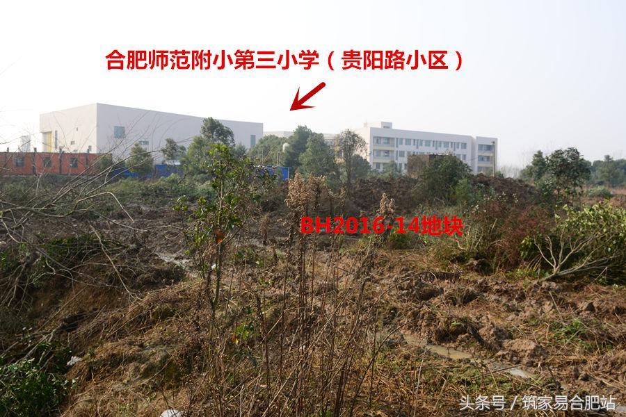 合肥濱湖土地最新消息,合肥濱湖土地最新消息，夢(mèng)想起航的湖畔熱土，激發(fā)無(wú)限潛能與成就之光
