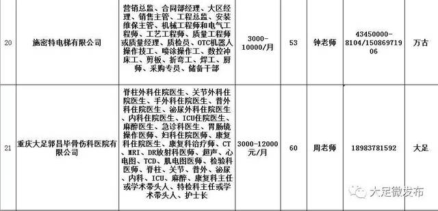 大足最新駕駛員招聘啟事，科技引領(lǐng)未來(lái)，駕馭新篇章啟程！