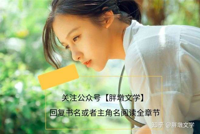 韓紫蘇小說最新章節(jié)獲取攻略，詳細步驟指南與精彩內(nèi)容展望