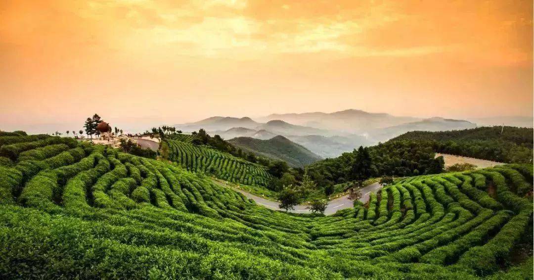 固始最新招聘與自然探索之旅，尋找內(nèi)心平和的職場與美景