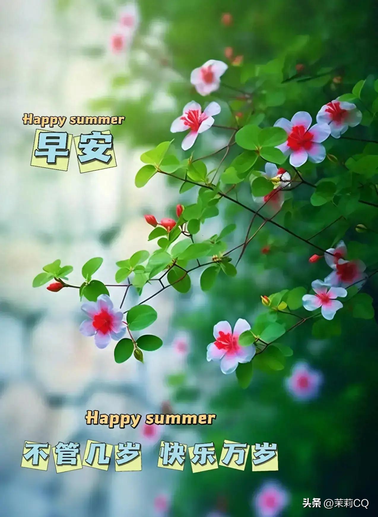 2024天天彩全年免費(fèi)資料,操作實(shí)踐評(píng)估_MIT93.513黑科技版