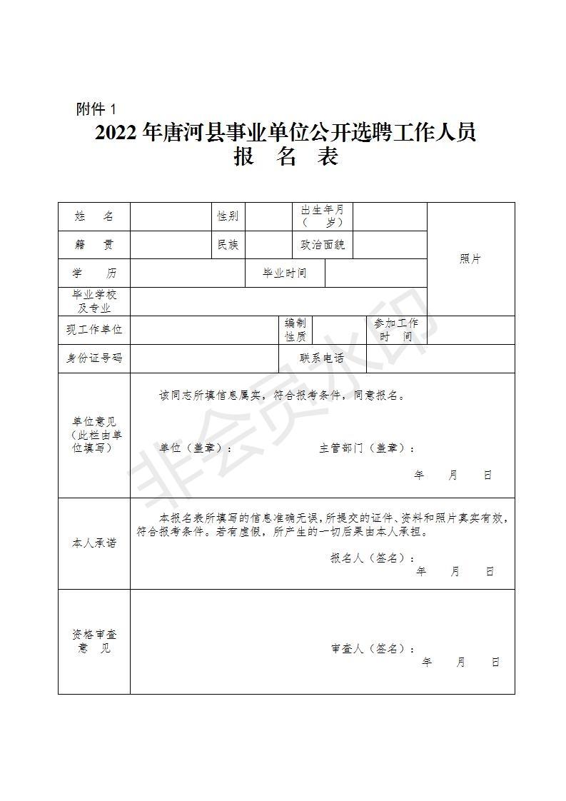 唐河0377網(wǎng)最新消息揭秘，友情的溫暖與數(shù)字世界的奇遇