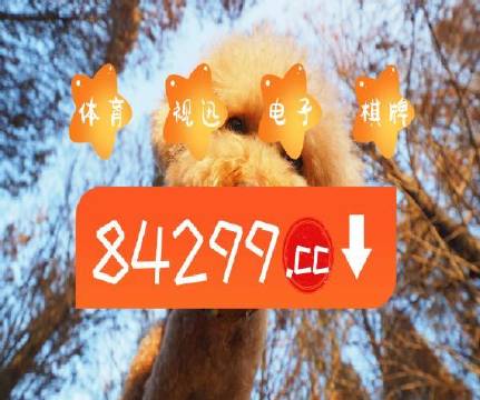 今天澳門天天彩免費版,高效執(zhí)行方案_ZPV93.780尋找版