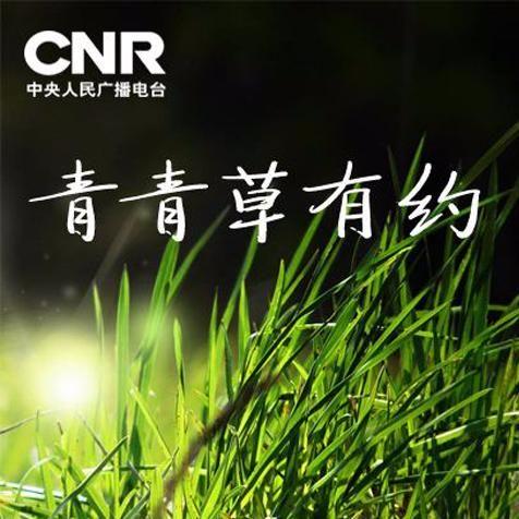 青青草最新網(wǎng)站123，高科技產(chǎn)品的革新之旅探索