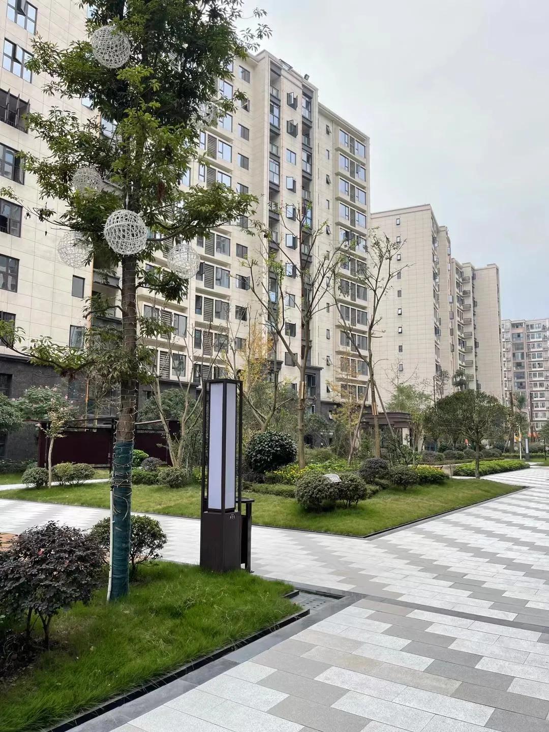 武候新城，學(xué)習(xí)變革與未來無限可能之最新消息速遞