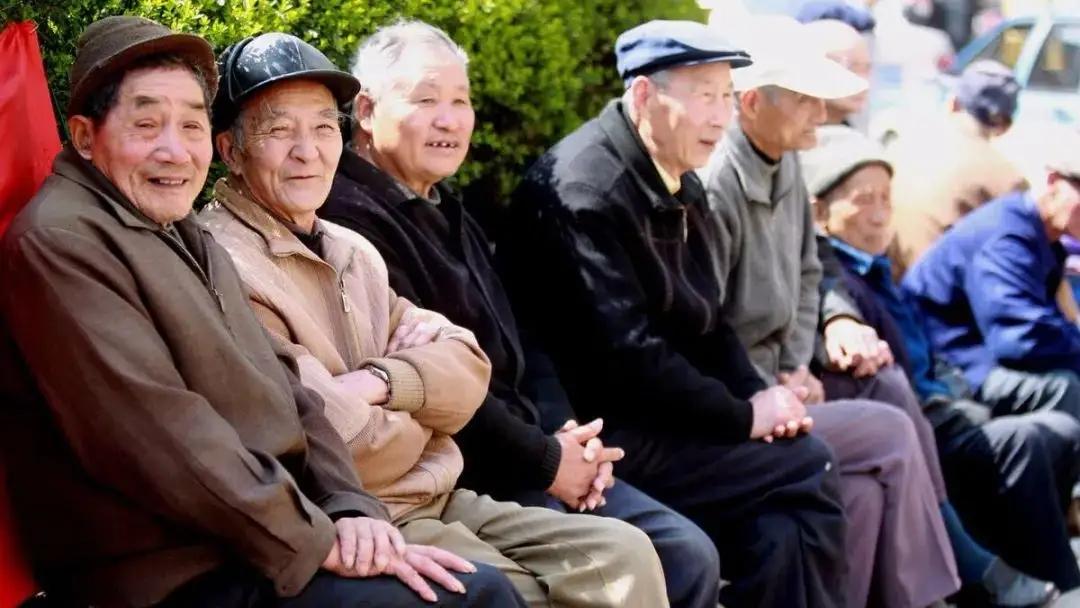 計劃生育最新政策,計劃生育最新政策，探尋小巷中的獨特小店