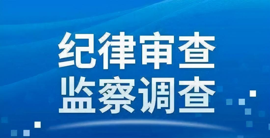 高要區(qū)最新公安局長,高要區(qū)最新公安局長與小巷中的驚喜探索