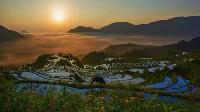 山西國(guó)企改革新篇章，探索自然美景之旅，尋求內(nèi)心平和與寧?kù)o的旅程