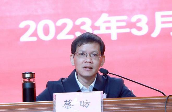慶元縣管干部最新公示,慶元縣管干部最新公示，小巷深處的驚喜——一家隱藏的特色小店