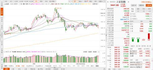79456濠江論壇2024年146期資料,信息明晰解析導(dǎo)向_NPS49.151智巧版