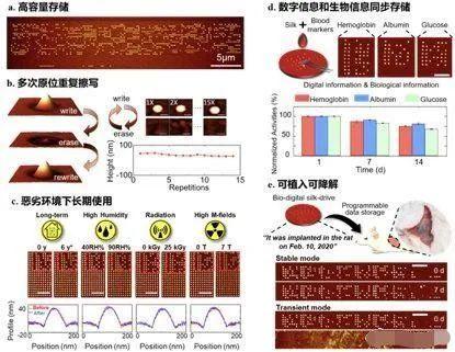 香港開獎結(jié)果+開獎記錄優(yōu)勢,科學(xué)解釋分析_KGL49.110探索版