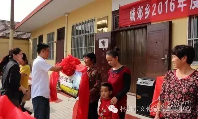 林州城郊鄉(xiāng)最新新聞，鄉(xiāng)間趣事與真摯友情的交織