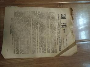 老錢莊資料大全免費,快速實施解答研究_GEB49.992套件版