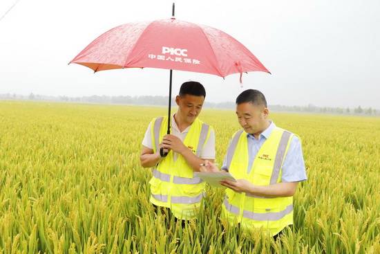 新奧天天精準(zhǔn)資料大全,安全保障措施_KIM49.314聲學(xué)版