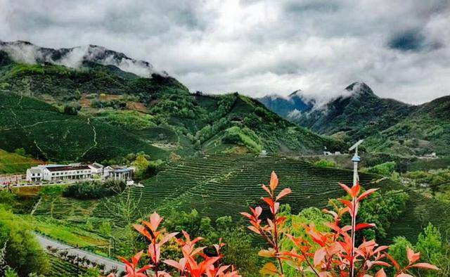 漢中西鄉(xiāng)，自然美景的邂逅與內(nèi)心平和之旅的最新消息