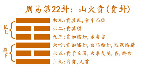 澳門周公神算,高效計劃實施_INM49.266知識版