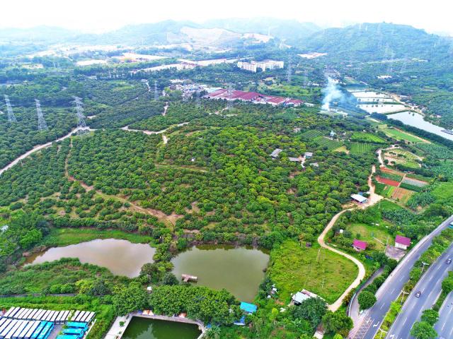 西麗水源三村最新規(guī)劃揭秘??