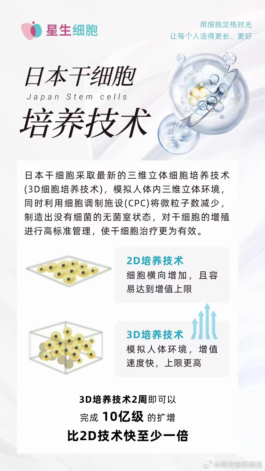 日本干細(xì)胞最新動態(tài)，全面探索與了解的步驟指南