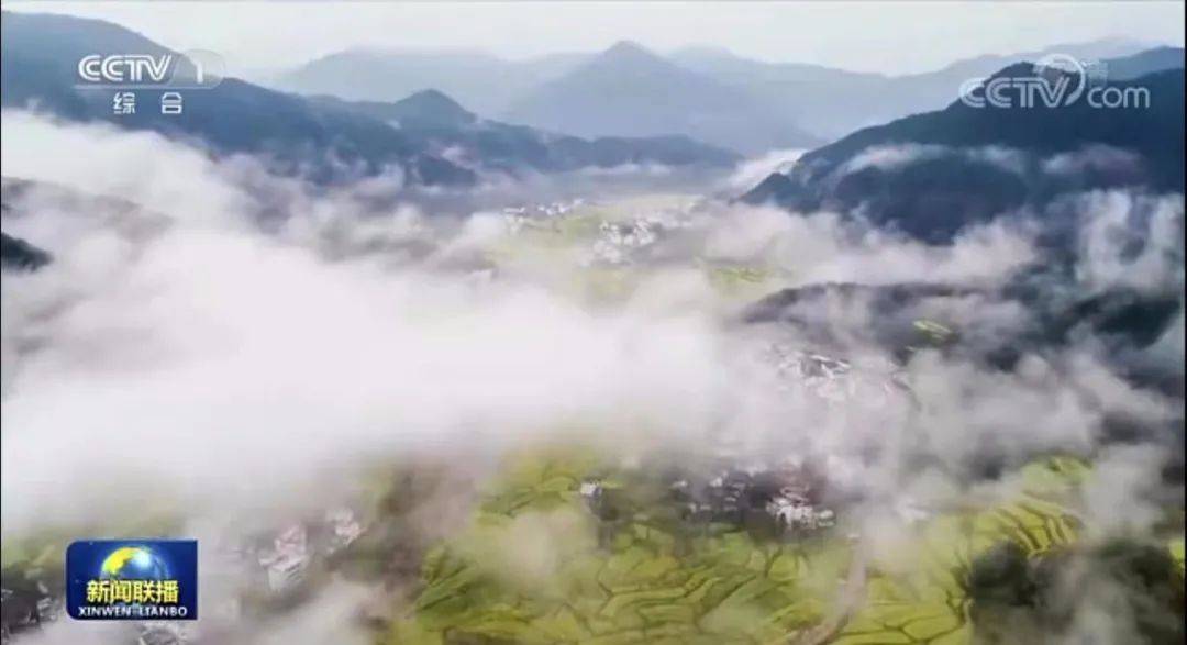 城步最新新聞撞車事件，自然美景之旅背后的啟示