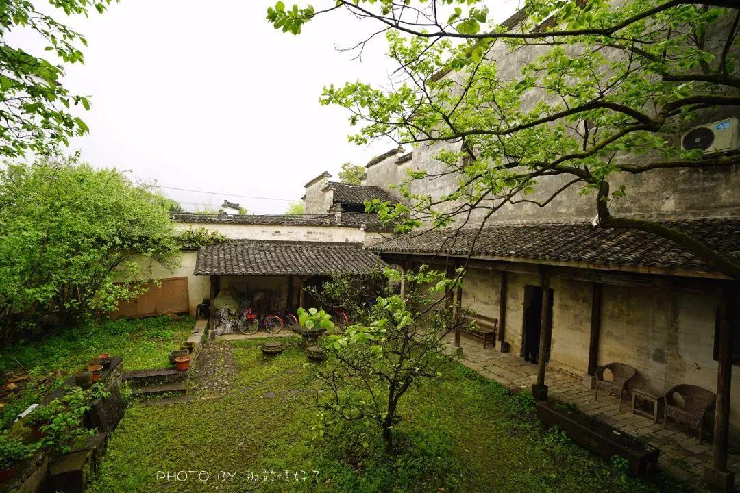 自然美景治愈之旅，揭露背后的洗衣粉騙術(shù)真相探索之旅