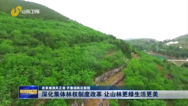 山東林業(yè)改革最新動態(tài)揭秘????