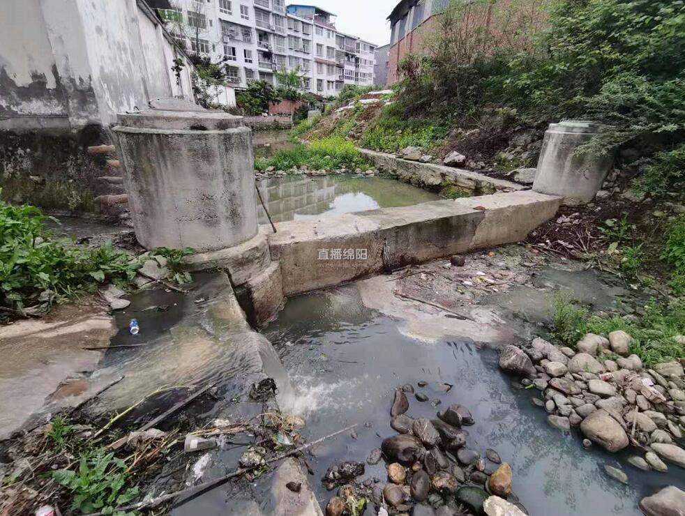 綿陽青義最新消息,綿陽青義最新消息，探索自然美景的旅行，尋找內(nèi)心的平和與寧靜