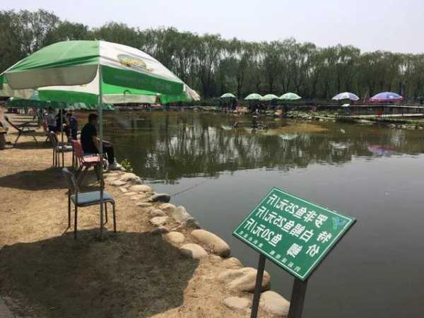最新塘沽野釣的地方,最新塘沽野釣的地方——野釣指南