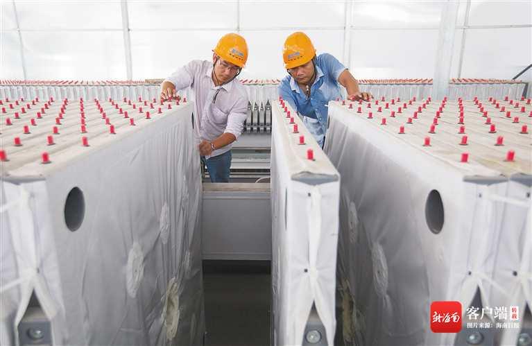 三亞廠房出租新動態(tài)，自信與成就啟航南海之濱