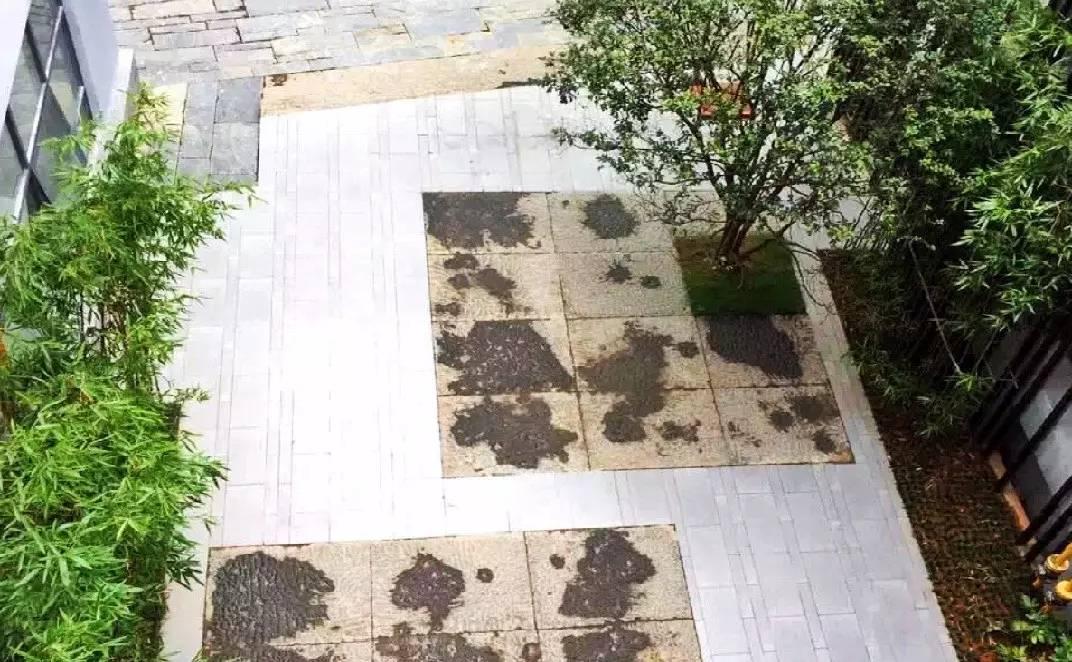 青娛樂最新地址揭秘，巷弄深處的特色小店探秘