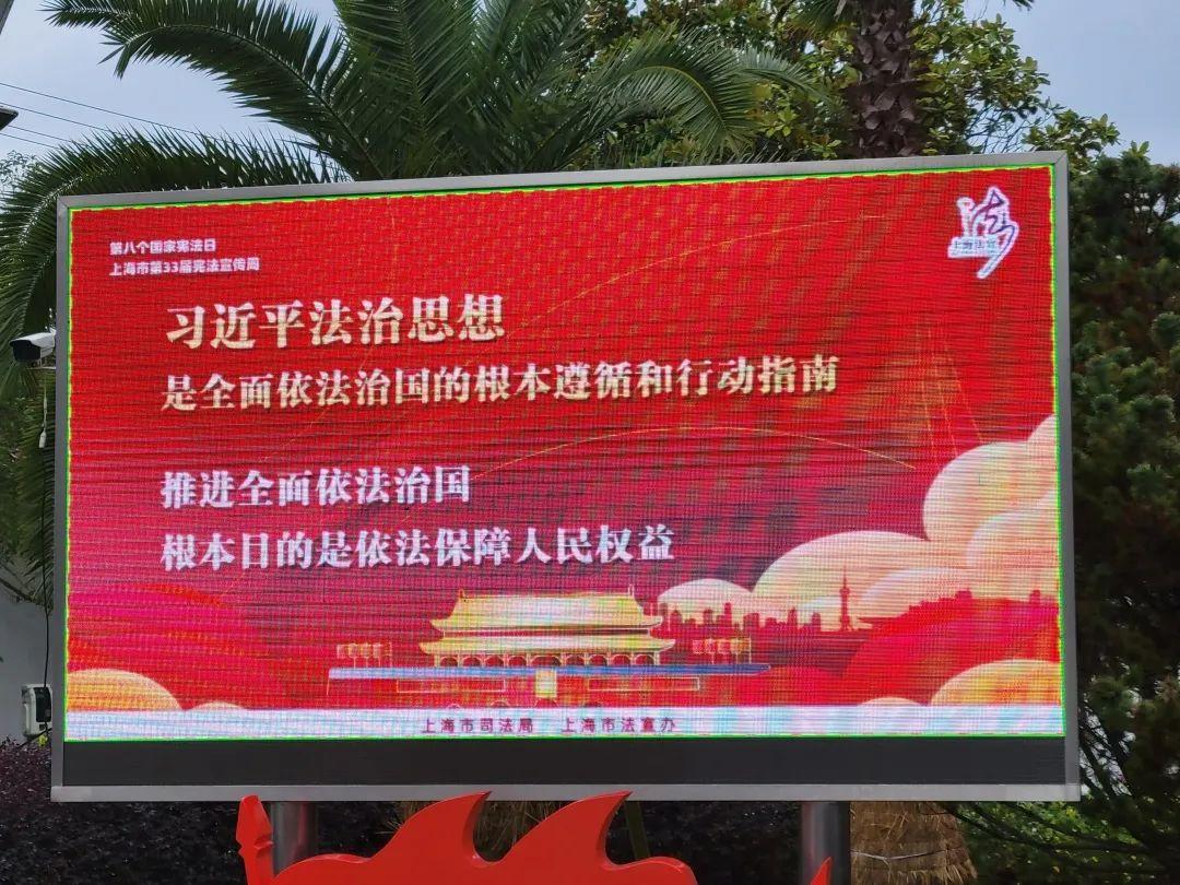 崇明新城房價最新消息,崇明新城房價最新消息，巷弄深處的驚喜發(fā)現(xiàn)