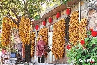 河南雷方最新動態(tài)，小巷中的獨特風味探秘