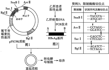 7777788888精準一肖,高效性設計規(guī)劃_EXD51.119知曉版