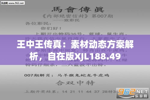 77777788888王中王特征,精準解答方案詳解_RPF51.705復古版