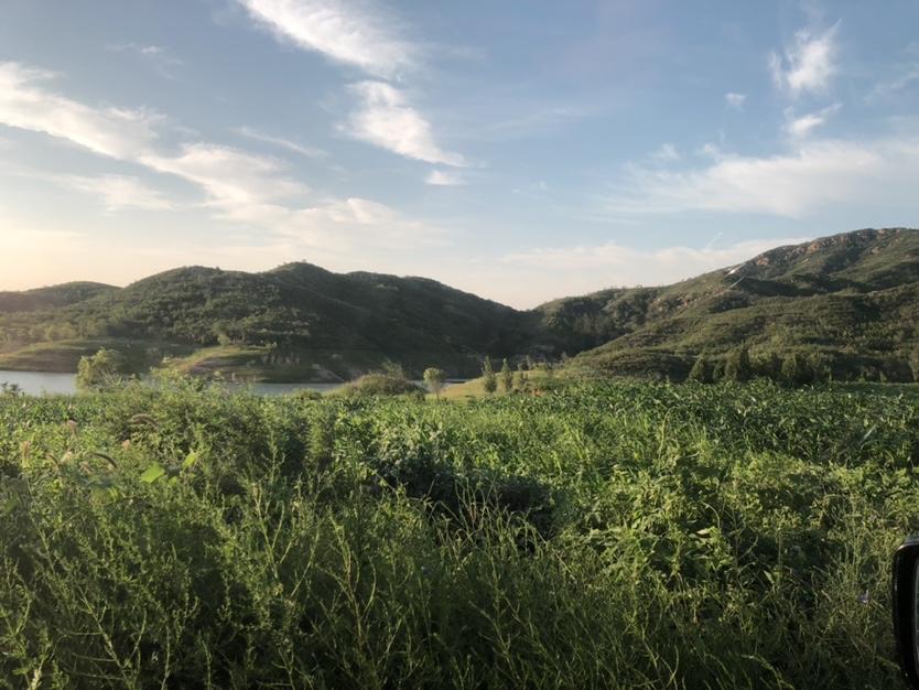 石家莊周邊最新野釣勝地，垂釣愛好者的福音！